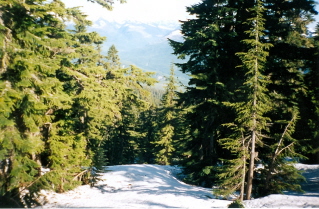 Climbing up the snow covered trail leading to the ridge to Elfin Lakes 2000-06.